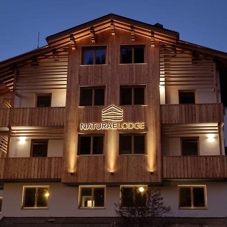 Naturae Lodge Wellness & Spa Alleghe Εξωτερικό φωτογραφία