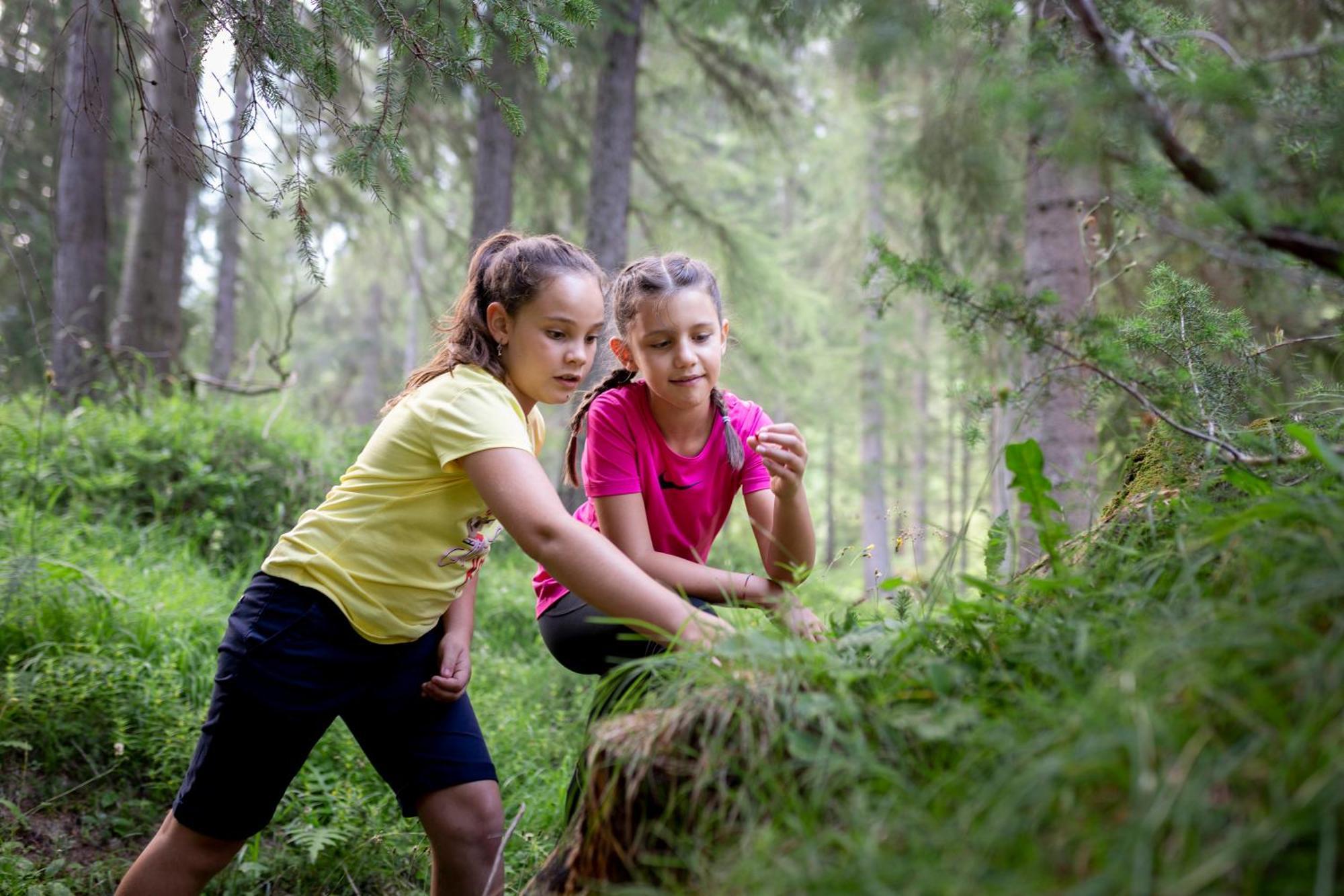 Naturae Lodge Wellness & Spa Alleghe Εξωτερικό φωτογραφία